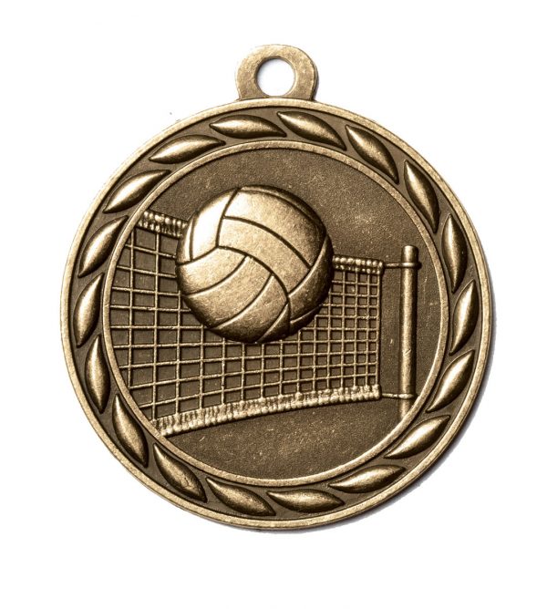 Volleyball Medal-0